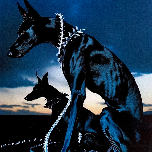 XEBEC - Jolagreen x Green Montana Type Beat